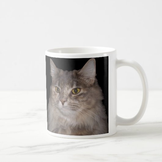 Graue Pelzkatze auf Kaffeetasse (Rechts)