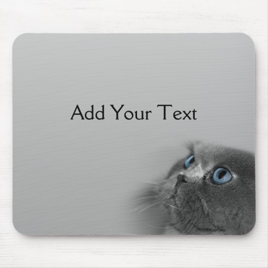Graue persische Katze mit blauen Augen auf Grau Mousepad (Vorne)