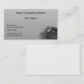 Graue persische Katze mit blauen Augen auf grauem Visitenkarte (Vorne/Hinten)