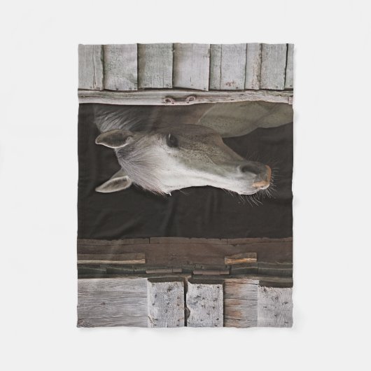 Graue Pferde Fleece Blanken (Vorderseite)