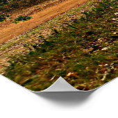 Graue Pferde Inspiration Timothy Bible Verse Gott Poster (Ecke)