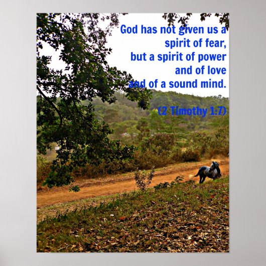 Graue Pferde Inspiration Timothy Bible Verse Gott Poster (Vorne)