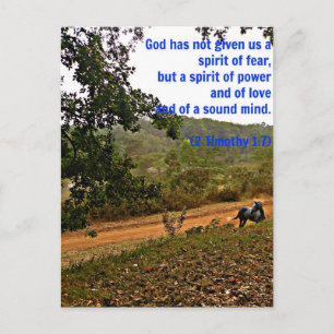Graue Pferde Inspiration Timothy Bible Verse Gott Postkarte