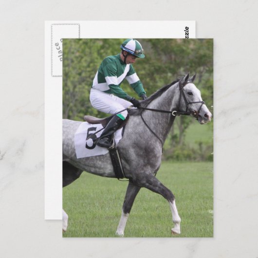 Graue Pferdepostkarten Postkarte (Vorne/Hinten)