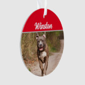 Graue Pit Bull mit Namen und Foto Weihnachten Ornament (Vorderseite)