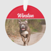 Graue Pit Bull mit Namen und Foto Weihnachten Ornament (Vorderseite)