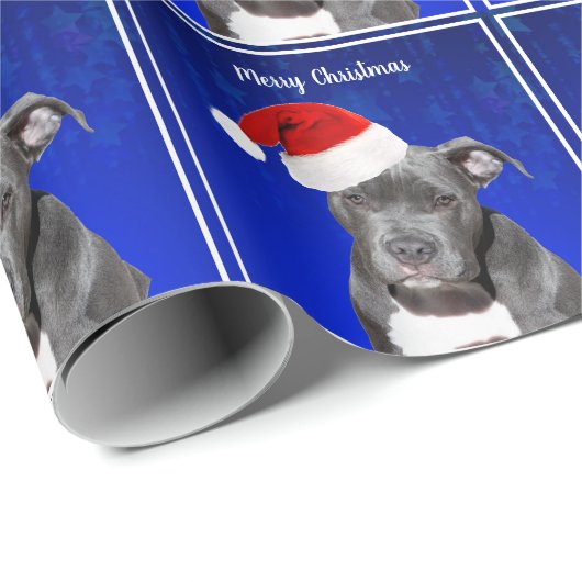 Graue Pit Bull mit Weihnachtsmannmütze Weihnachten Geschenkpapier (Rolleneckpunkt)