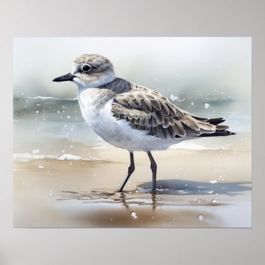 Graue Plover Bird Art Print Poster (Vorne)
