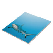Graue Rifhaifische (Carcharhinus amblyrhnchos) Fliese (Seite)