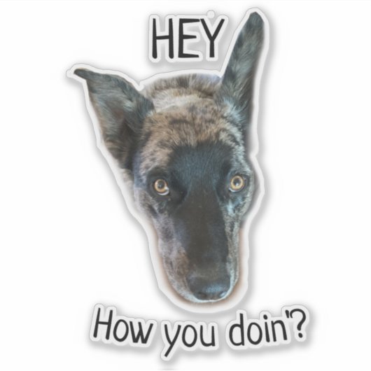 Graue Rinder-Hunde Aufkleber (Vorderseite)