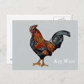 Graue Rooster Key West Post Card Postkarte (Vorne/Hinten)