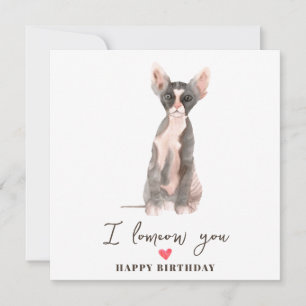 Graue rosa Sphynx-Katzenmutter-Welpen-Haustiere Ge Karte