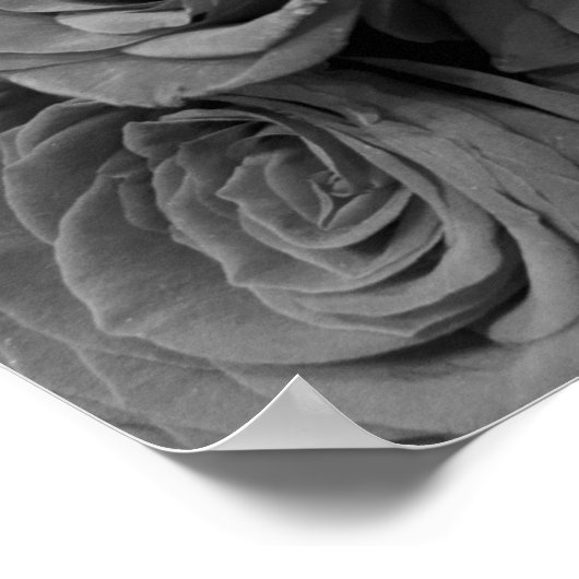 Graue Rose, graues Foto Poster (Ecke)