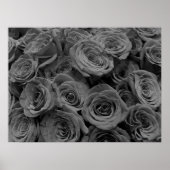 Graue Rose, graues Foto Poster (Vorne)