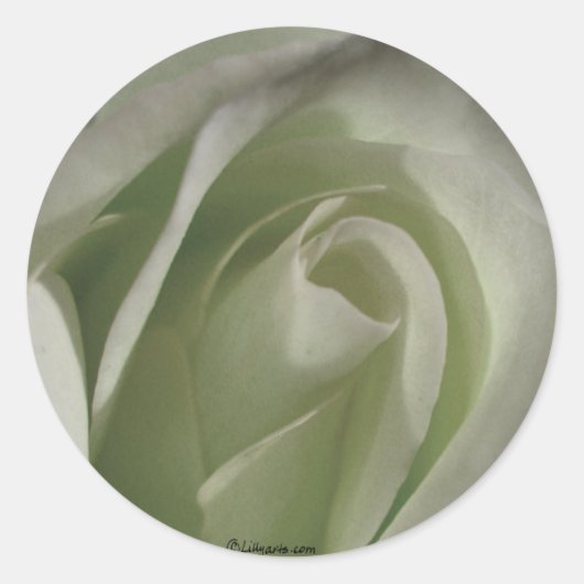 Graue Rose Sticker Wedding Umschlag Aufkleber (Vorderseite)