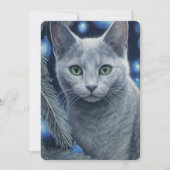 Graue Russische Blaue Katze Weihnachten oder Hanuk (Vorderseite)