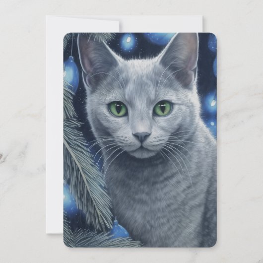 Graue Russische Blaue Katze Weihnachten oder Hanuk (Vorderseite)