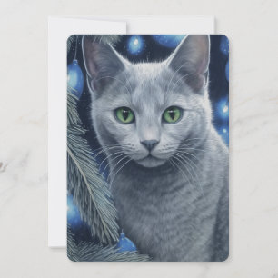Graue Russische Blaue Katze Weihnachten oder Hanuk