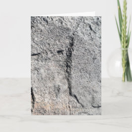 graue Schieferdecke Karte