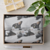 Graue Schwarz-weiße Kitty Cat Seidenpapier (Geschenk)