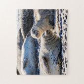 Graue Siegel, Jigsaw Puzzle (Vertikal)