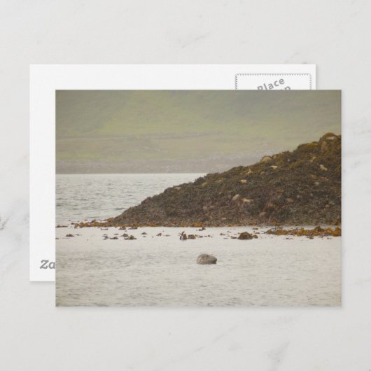 Graue Siegel Postkarte (Vorne/Hinten)