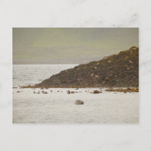 Graue Siegel Postkarte