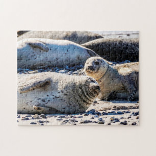 Graue Siegel ruhen, Puzzle