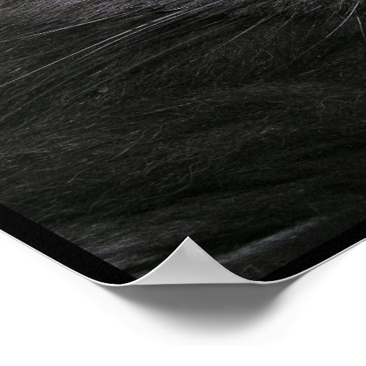 Graue Sleepy Cat Poster (Ecke)