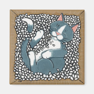 Graue Smokings-Katze, die im Kasten Magnet