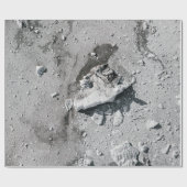 Graue Steine auf grauem Schmutz Geschenkpapier (Flach)