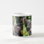 Graue Streifen-Katze mit grünen Augen Kaffeetasse (Mittel)