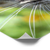 Graue Streifenkatze mit grünen Augen Poster (Ecke)