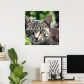 Graue Streifenkatze mit grünen Augen Poster (Heimbüro)