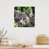 Graue Streifenkatze mit grünen Augen Poster (Küche)