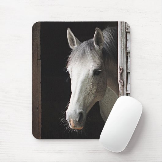 Graue Stuten-Pferdetiere Mousepad (Mit Mouse)