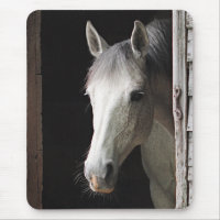 Graue Stuten-Pferdetiere Mousepad