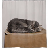 Graue Tabby-Katze, die auf Kasten schläft Duschvorhang (Vorderseite)