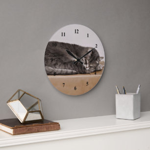 Graue Tabby-Katze, die auf Kasten schläft Große Wanduhr