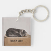 Graue Tabby-Katze, die auf Kasten schläft Schlüsselanhänger (Rückseite)