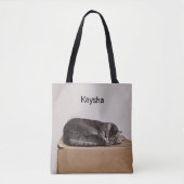 Graue Tabby-Katze, die auf Kasten schläft Tasche (Vorderseite)