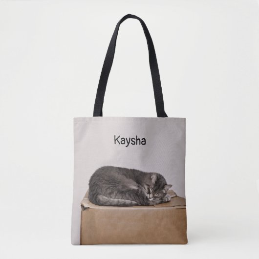 Graue Tabby-Katze, die auf Kasten schläft Tasche (Vorderseite)