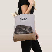 Graue Tabby-Katze, die auf Kasten schläft Tasche (Von Nahem)