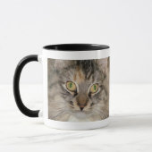 Graue Tabby-Katzen-Tasse Tasse (Links)