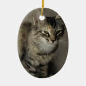 Graue Tabby-Malerei Keramikornament (Vorne)