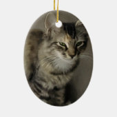 Graue Tabby-Malerei Keramikornament (Hinten)