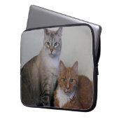 Graue Tabby und Orange Tabby Katzen Laptopschutzhülle (Vorderseite Links)