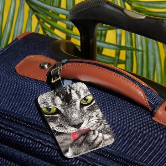 Graue Tabbykatze, die Tatze leckt Gepäckanhänger (Vorderseite Insitu 1)