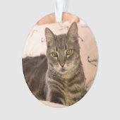graue Tabbykatzenverzierung Ornament (Vorderseite)