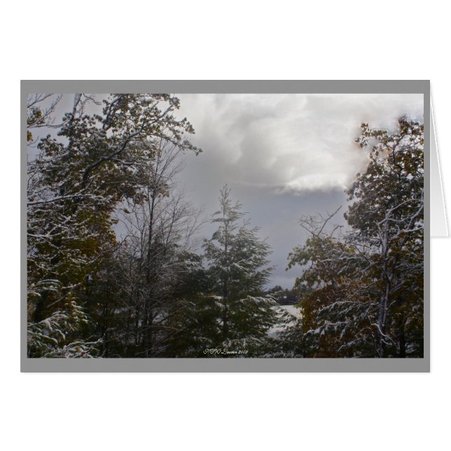 Graue Tageskarte (Vorderseite (Horizontal))